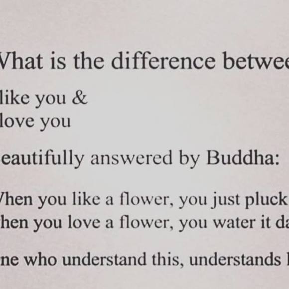 Meet your Posher, Shuli - Picture 1 of 1